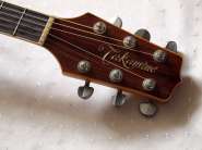 Takamine007_3.jpg