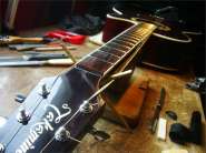 Takamine PT508-4.jpg