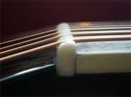 Takamine PT508-9.jpg