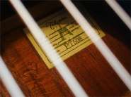 Takamine PT508-16.jpg