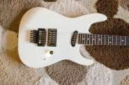 tokai-2.jpg