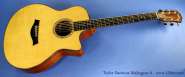 taylor-baritone-6-mahogany-ss-full-1.jpg