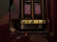 DSC01173.jpg