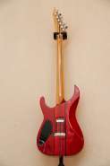 DSC01540.jpg