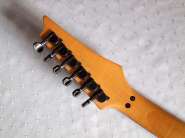 IbanezPGM_3.jpg