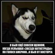 sobaka-podozrevaka_11626558_orig_ �����.jpg