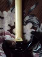 DSC01502.jpg