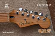 Fender_��_head.jpg