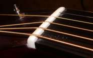 martin �-8.jpg