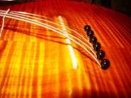 gibson Ac-5.jpg