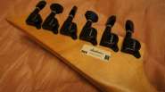 DSC04640.jpg