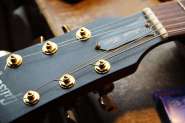 Gibson LP SmartWood-7.jpg