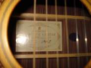DSC01206.jpg