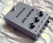 C__Data_Users_DefApps_AppData_INTERNETEXPLORER_Temp_Saved Images_blkcatrm.jpg