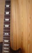 gibson lpj4.jpg