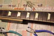 Tokai Love rock 1981-4.JPG
