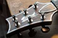 PRS Private Stock #2031 2008-13.jpg