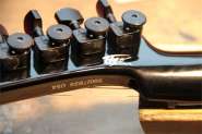 Parker Fly-12.jpg