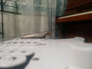 IMG_20161123_221345 (Medium).jpg