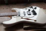 Warmoth Stratocaster Ash-5.jpg