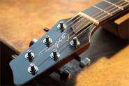 Godin LGXT-5.jpg