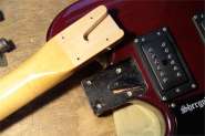 SherGold-4.jpg