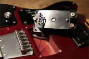 SherGold-5.jpg