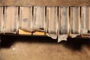 SherGold-9.jpg