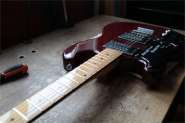 SherGold-11.jpg