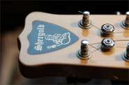 SherGold-15.jpg