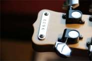 SherGold-19.jpg