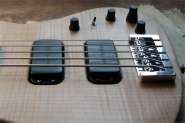 Washburn Bass5-4.jpg