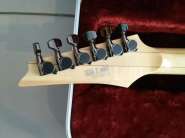 Ibanez3.jpg