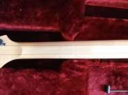 Ibanez (6).jpg