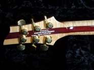 Schecter_CS1_Tuners.jpg