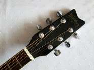 washburn-ea20-bk-2.jpg