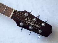 takamine-pt108-head.jpg