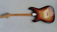 F.strat76-29.jpg