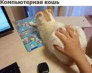 1506507611.jpg