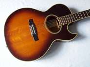 washburn-festival-ea-20-mts.jpg