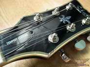 Schecter_Tempest_Custom_new-brok-nah-exch_020.jpg