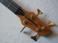 WashburnBass_2.jpg