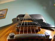 DSCN5447.jpg