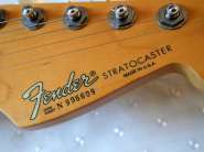 fender-strat-plus-hsh2.jpg