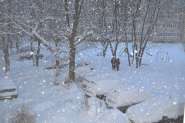 DSC_0125.jpg