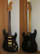 Fernandes-ST45.jpg