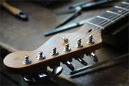 F.strat 2010-1.jpg