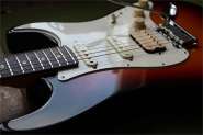 F.strat 2010-3.jpg