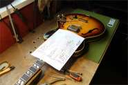 Gibsin ES-345_68-48.JPG