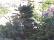 20180518_080451.jpg
